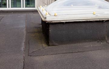 disadvantages of Durns Town flat roofs